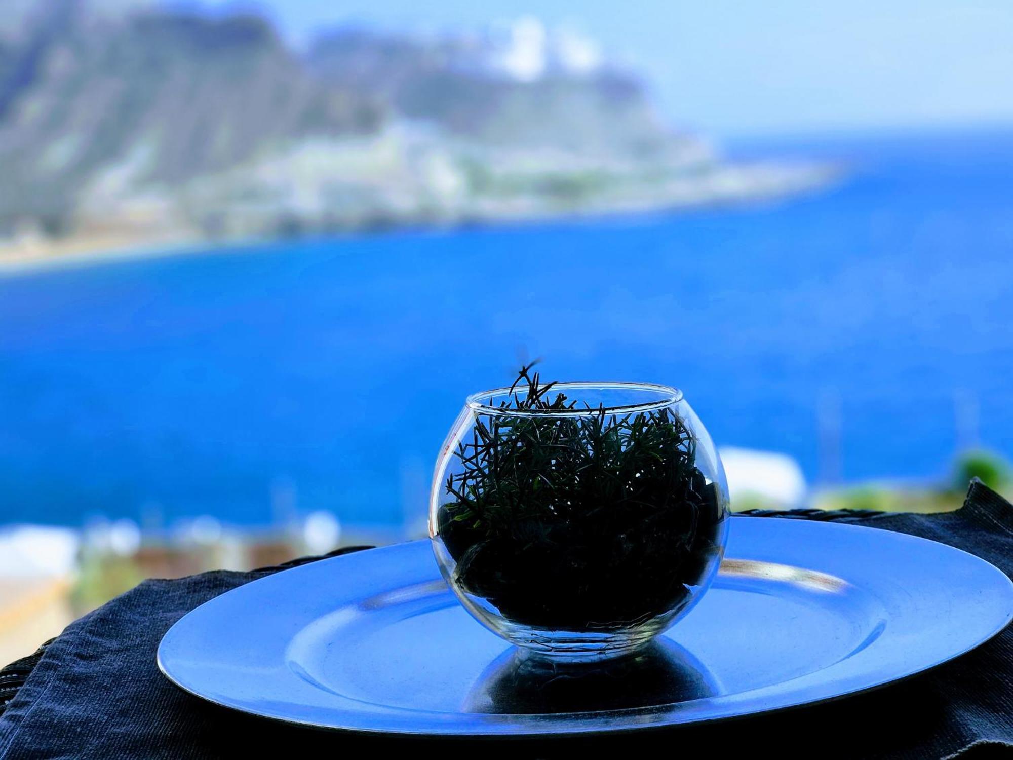 Residence Ocean View Mogán المظهر الخارجي الصورة